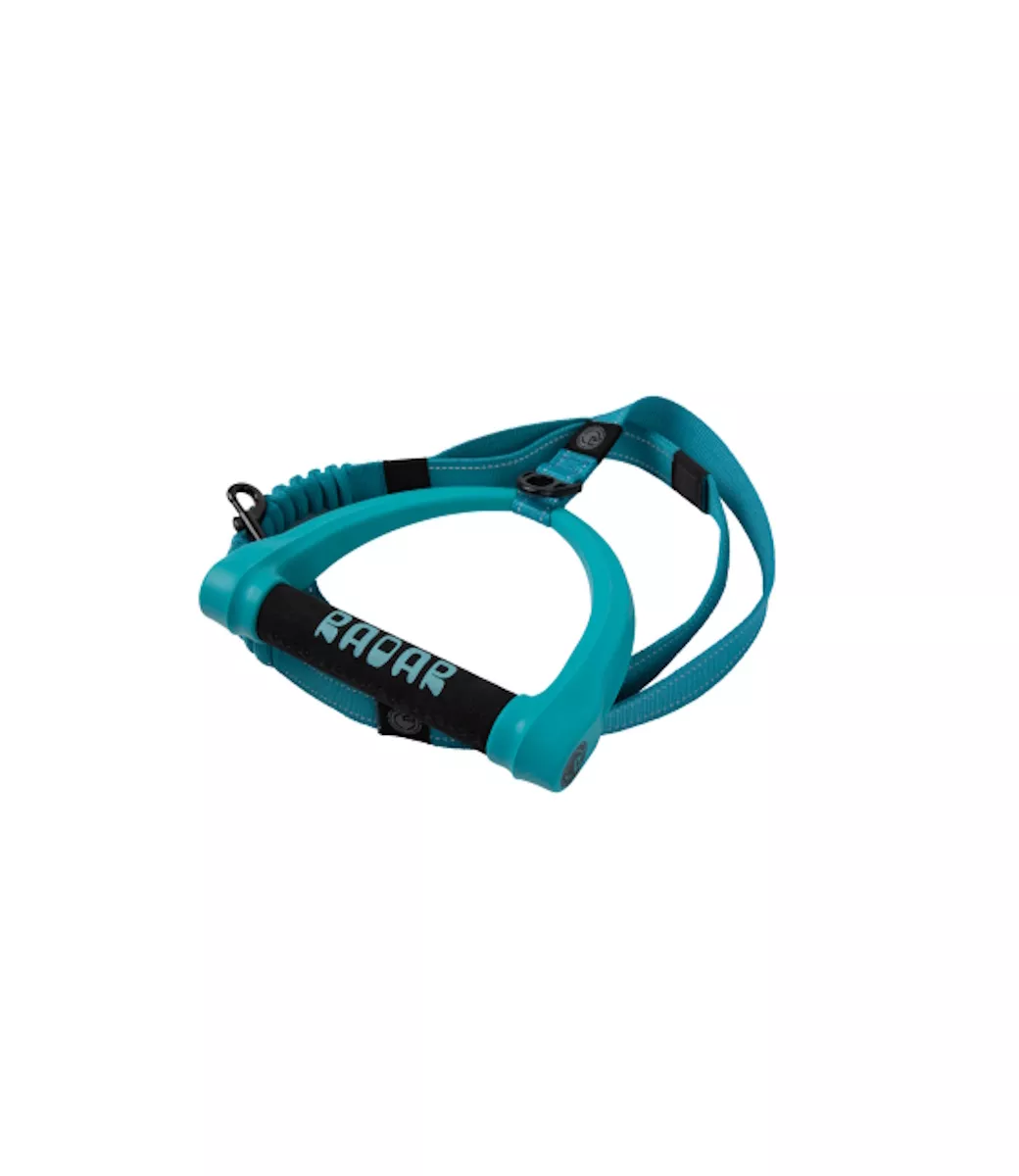 5ft-bungee-dog-leash-blue 5ft Bungee Dog Leash - Blue