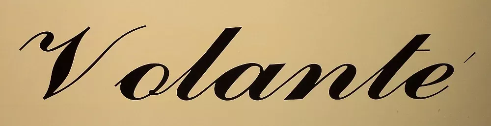 decal-volante Decal - Volante'